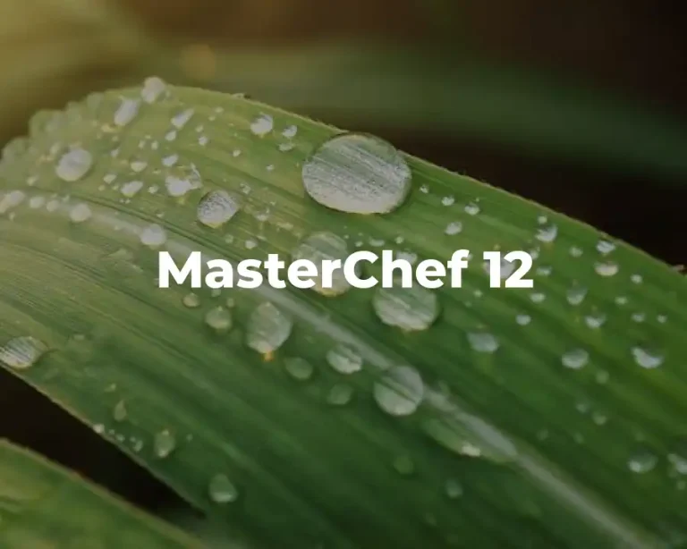 MasterChef 12