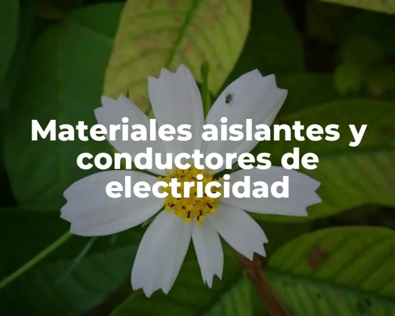 Materiales aislantes y conductores de electricidad