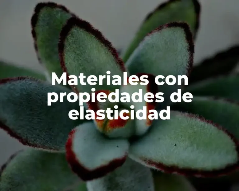 Materiales con propiedades de elasticidad