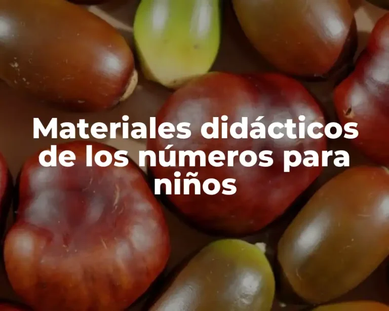 Materiales didácticos de los números para niños