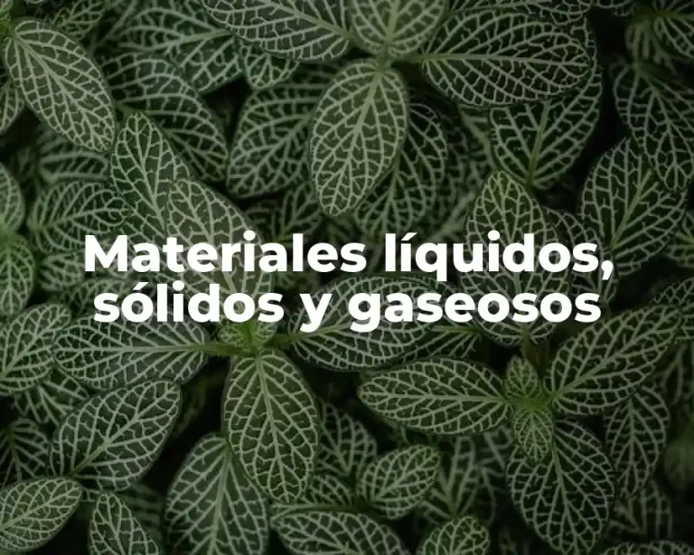 Materiales líquidos, sólidos y gaseosos