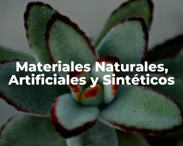 Materiales Naturales, Artificiales y Sintéticos
