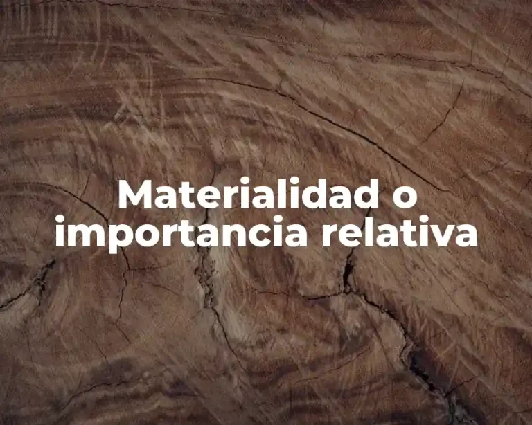 Materialidad o importancia relativa