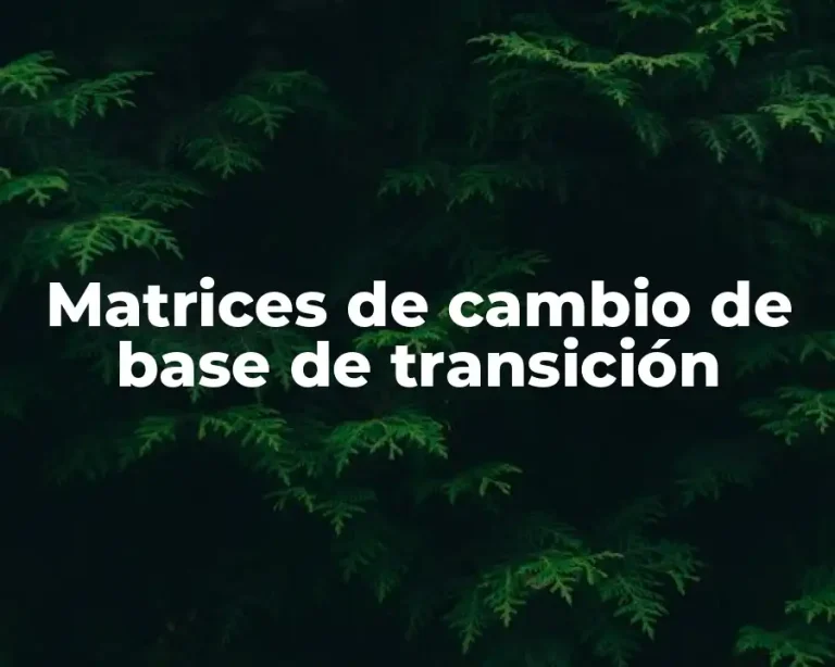 Matrices de cambio de base de transición