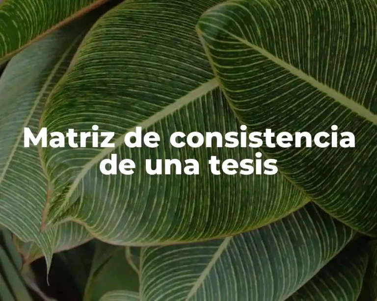 Matriz de consistencia de una tesis