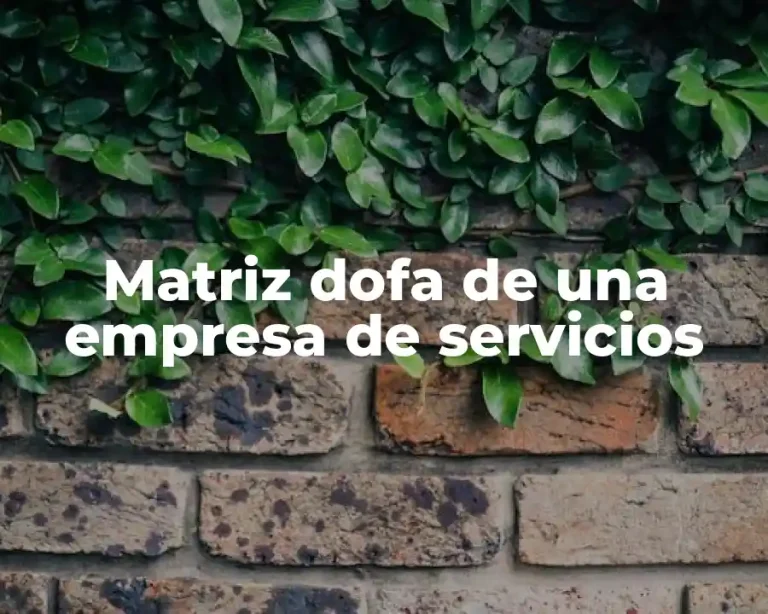 Matriz dofa de una empresa de servicios