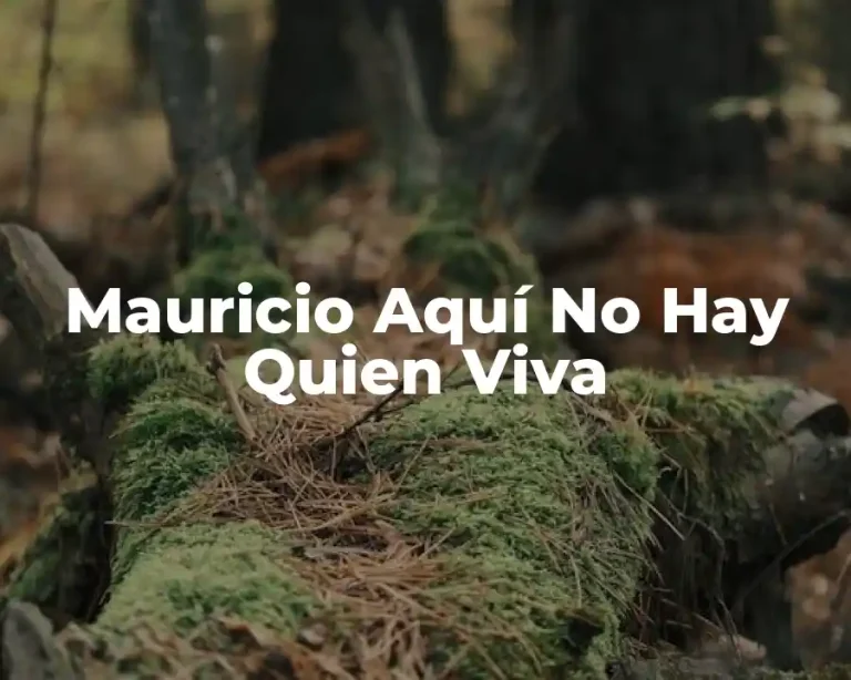 Mauricio Aquí No Hay Quien Viva