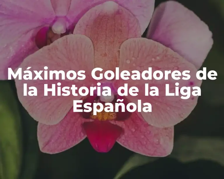 Máximos Goleadores de la Historia de la Liga Española