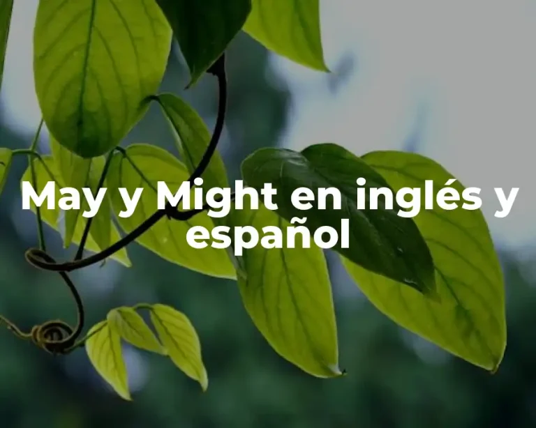 May y Might en inglés y español