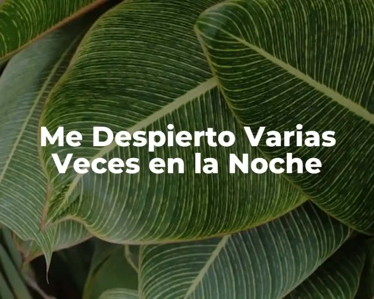 Me Despierto Varias Veces en la Noche