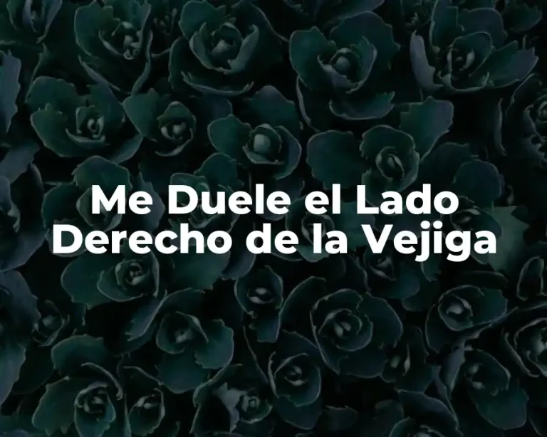 Me Duele el Lado Derecho de la Vejiga