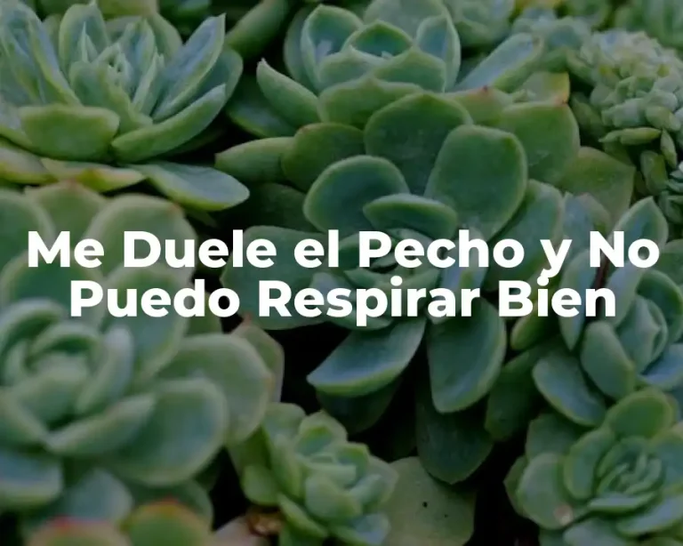 Me Duele el Pecho y No Puedo Respirar Bien