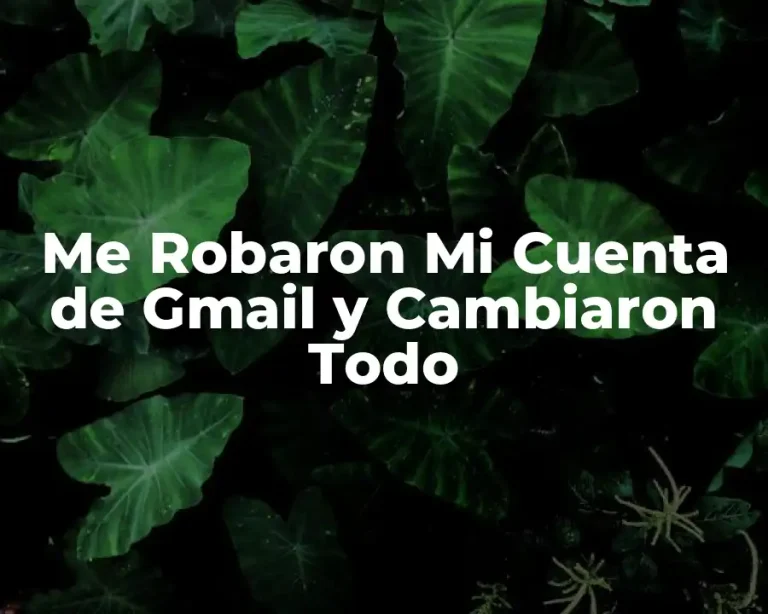 Me Robaron Mi Cuenta de Gmail y Cambiaron Todo