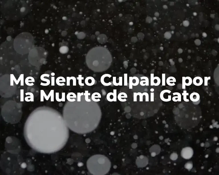 Me Siento Culpable por la Muerte de mi Gato