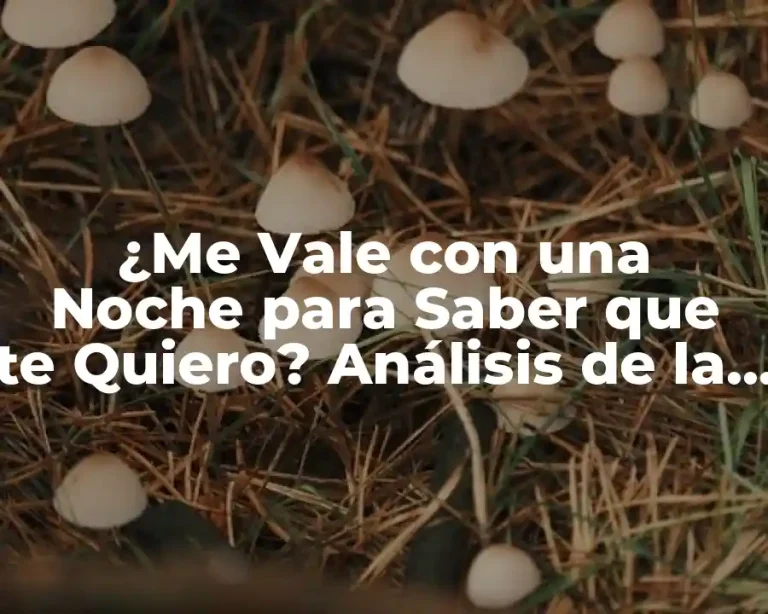 ¿Me Vale con una Noche para Saber que te Quiero? Análisis de la Fase de Infatuación