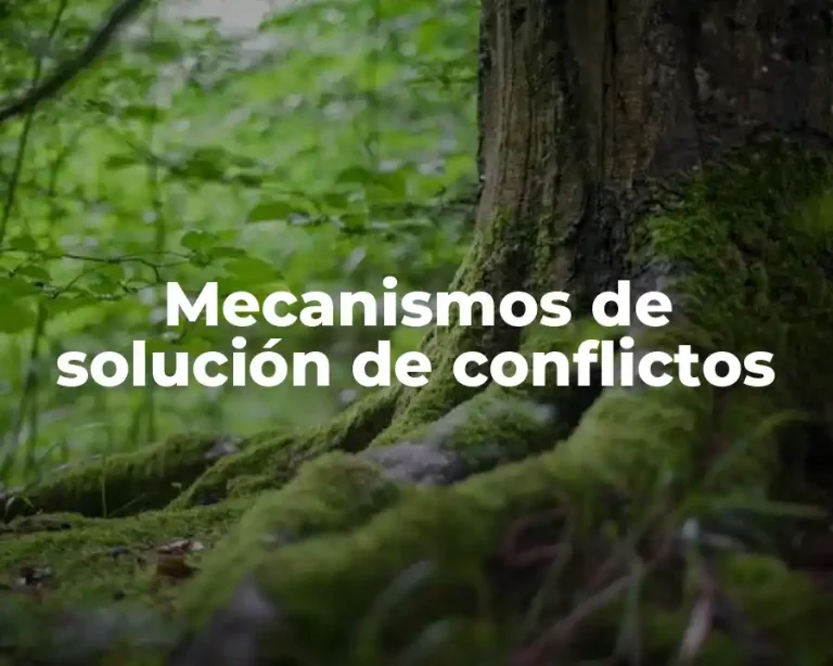 Mecanismos de solución de conflictos