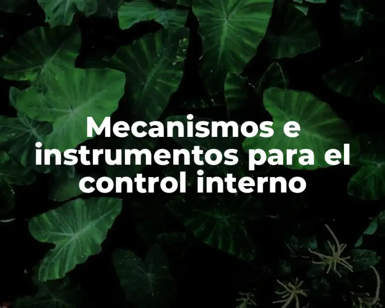 Mecanismos e instrumentos para el control interno