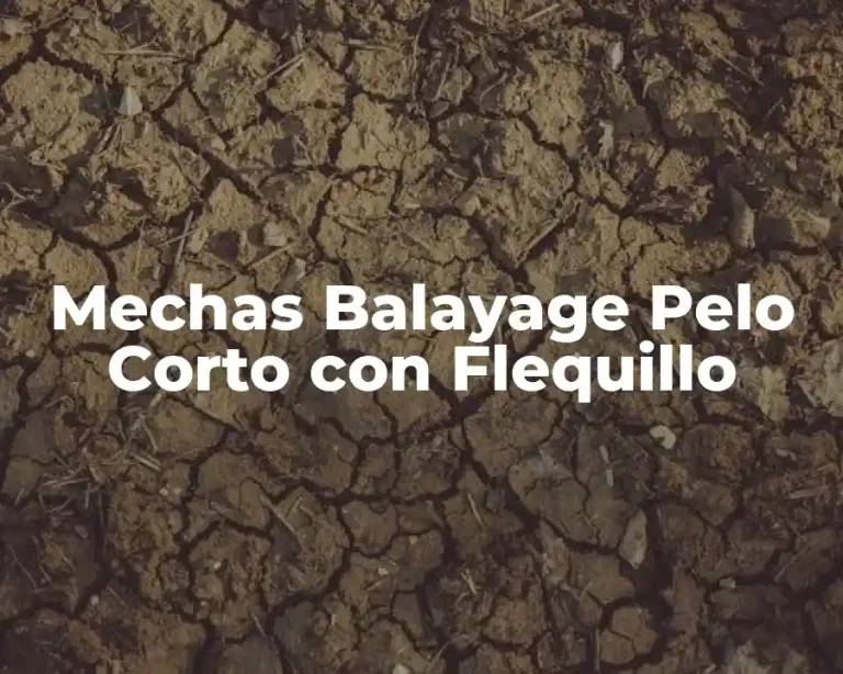 Mechas Balayage Pelo Corto con Flequillo