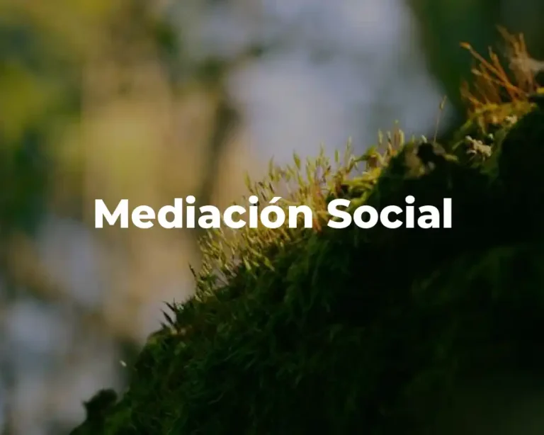 Mediación Social