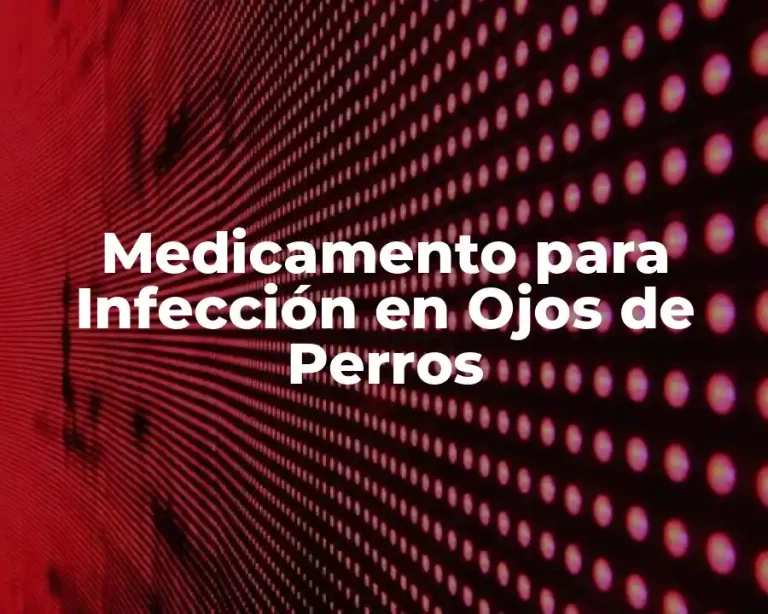 Medicamento para Infección en Ojos de Perros