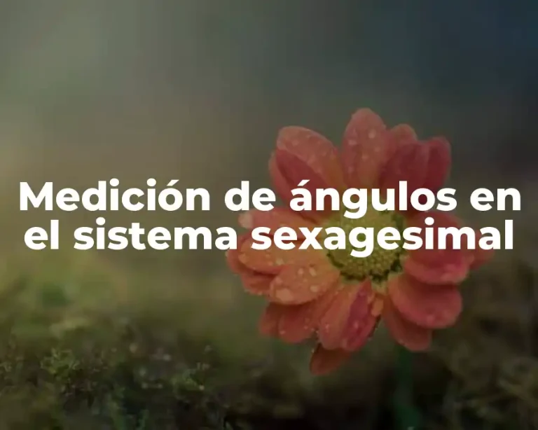 Medición de ángulos en el sistema sexagesimal
