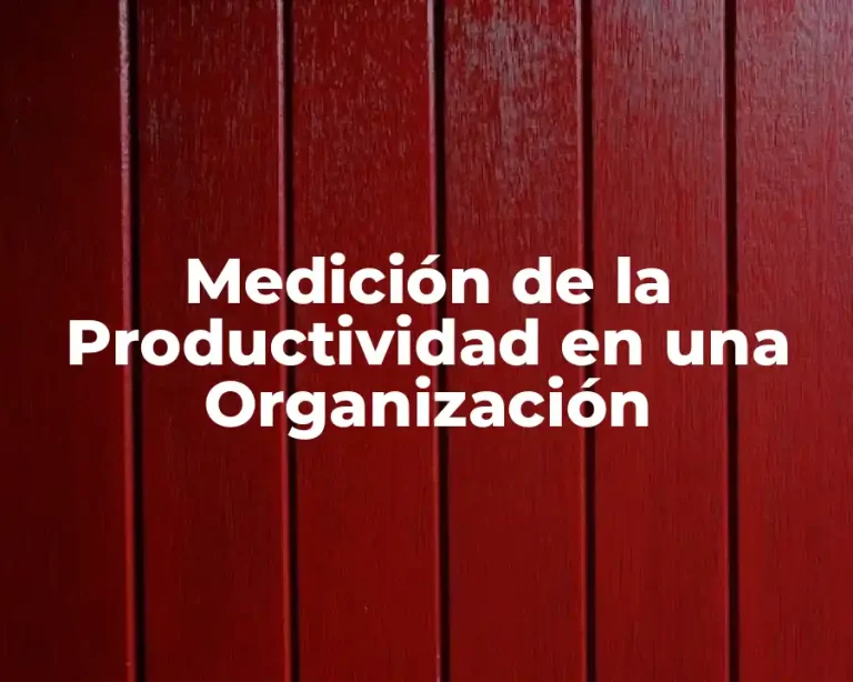 Medición de la Productividad en una Organización