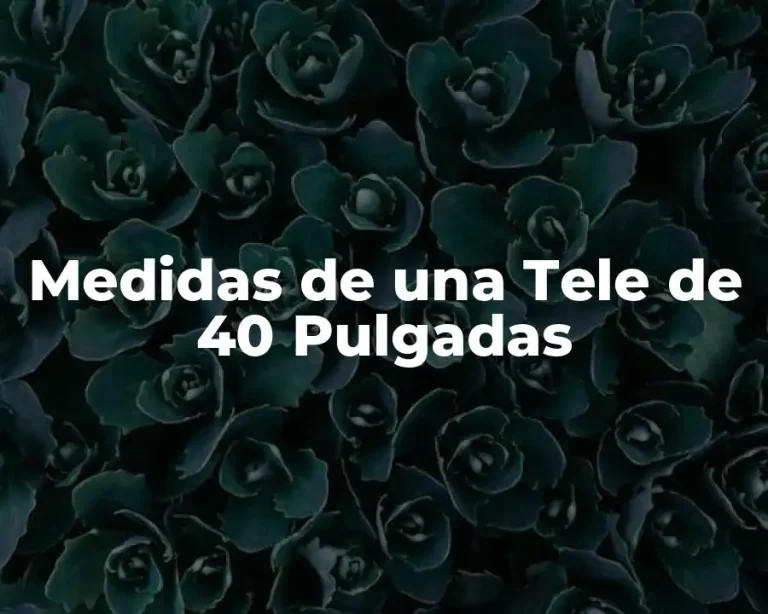 Medidas de una Tele de 40 Pulgadas
