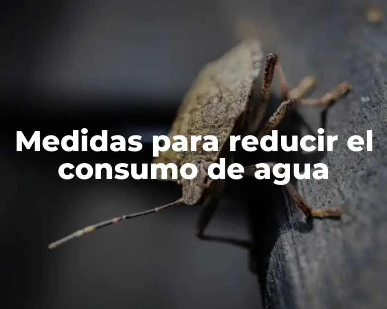 Medidas para reducir el consumo de agua