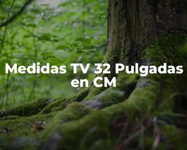 Medidas TV 32 Pulgadas en CM