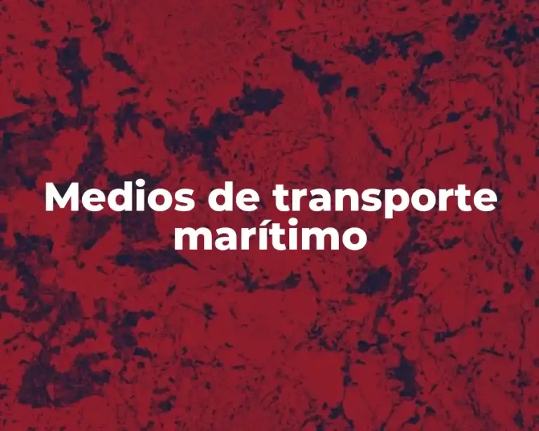 Medios de transporte marítimo