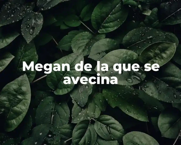 Megan de la que se avecina