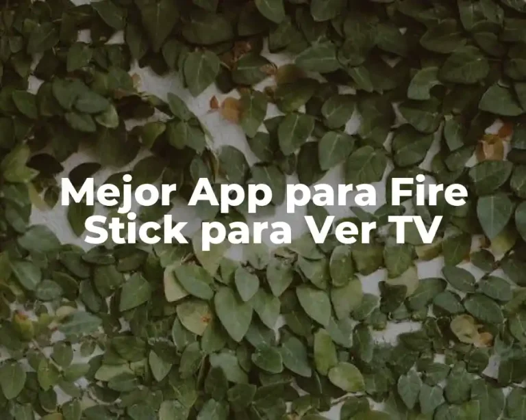 Mejor App para Fire Stick para Ver TV