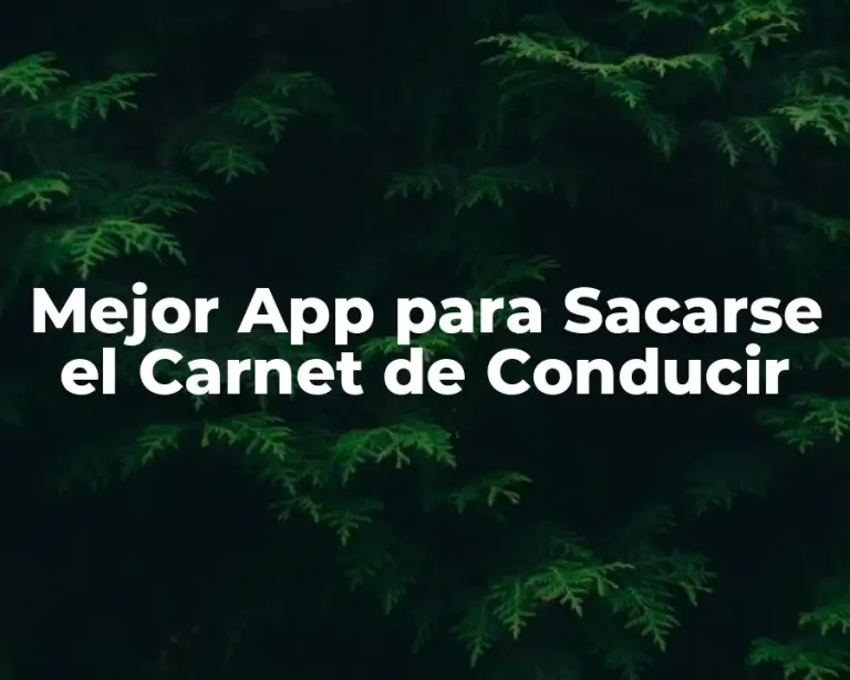 Mejor App para Sacarse el Carnet de Conducir