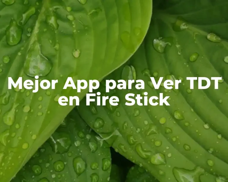 Mejor App para Ver TDT en Fire Stick