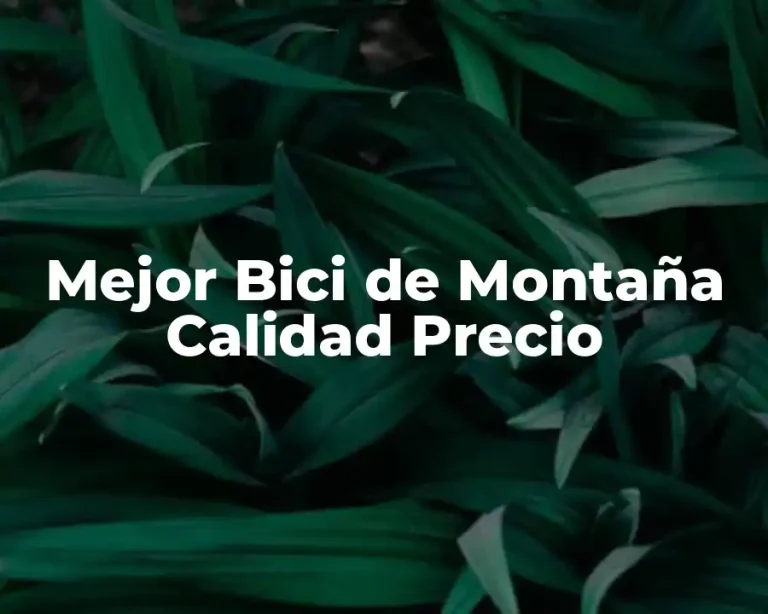 Mejor Bici de Montaña Calidad Precio