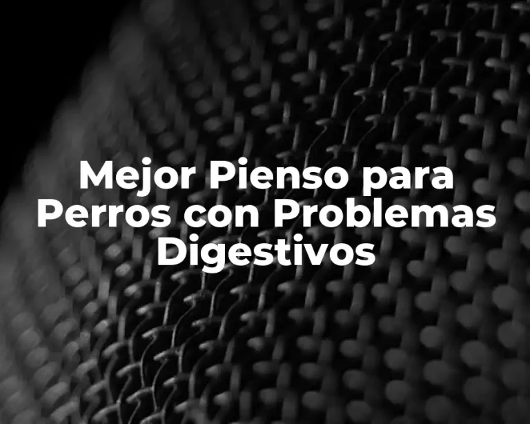 Mejor Pienso para Perros con Problemas Digestivos