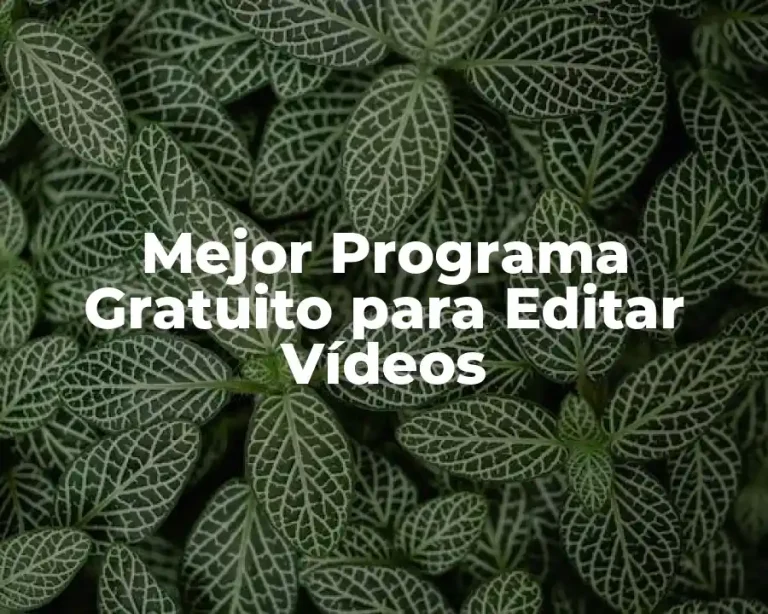 Mejor Programa Gratuito para Editar Vídeos
