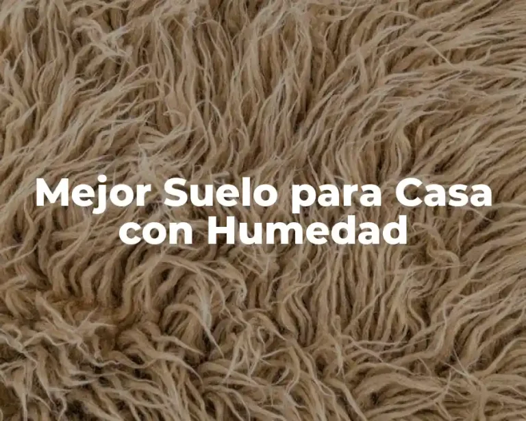 Mejor Suelo para Casa con Humedad