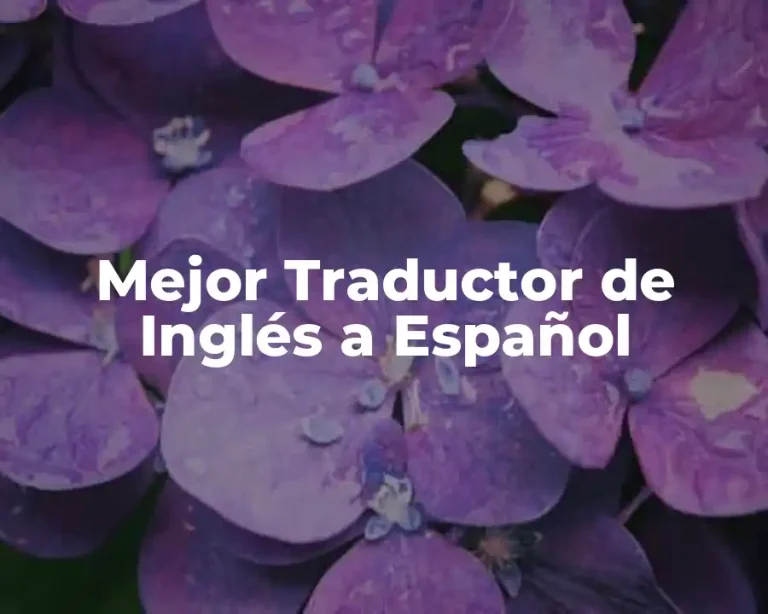 Mejor Traductor de Inglés a Español