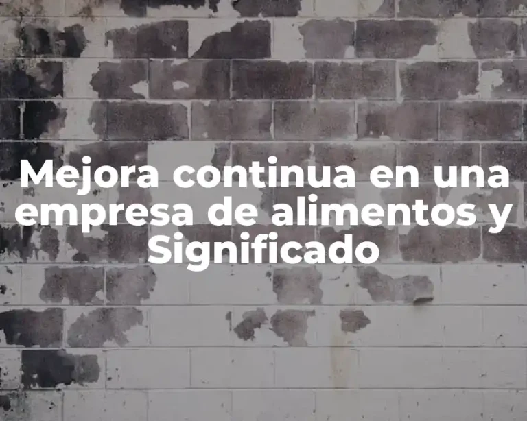 Mejora continua en una empresa de alimentos y Significado
