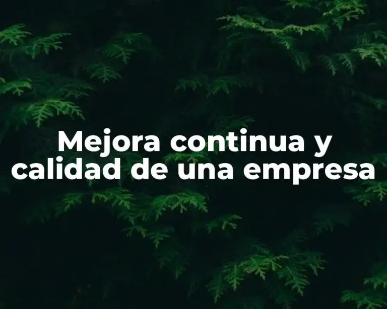 Mejora continua y calidad de una empresa
