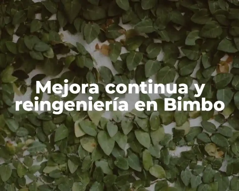 Mejora continua y reingeniería en Bimbo