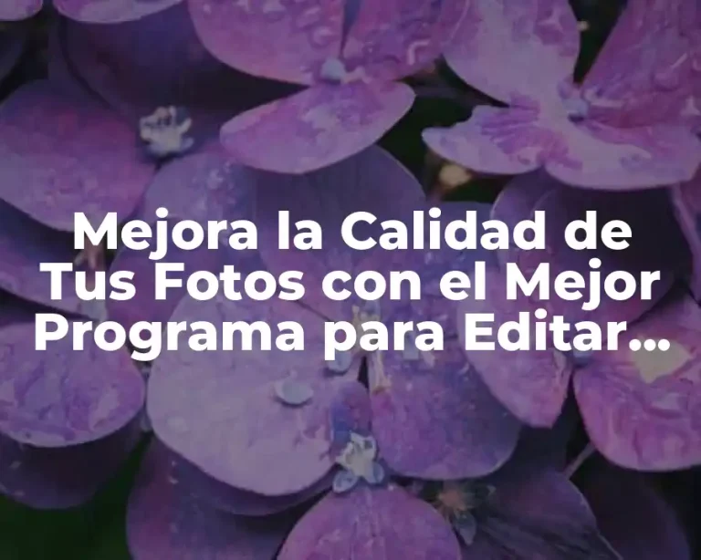Mejora la Calidad de Tus Fotos con el Mejor Programa para Editar Fotos