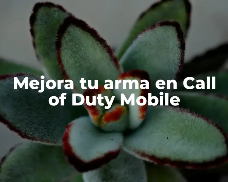 Mejora tu arma en Call of Duty Mobile