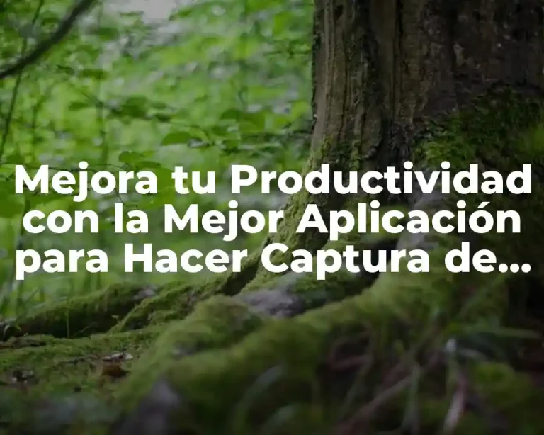 Mejora tu Productividad con la Mejor Aplicación para Hacer Captura de Pantalla