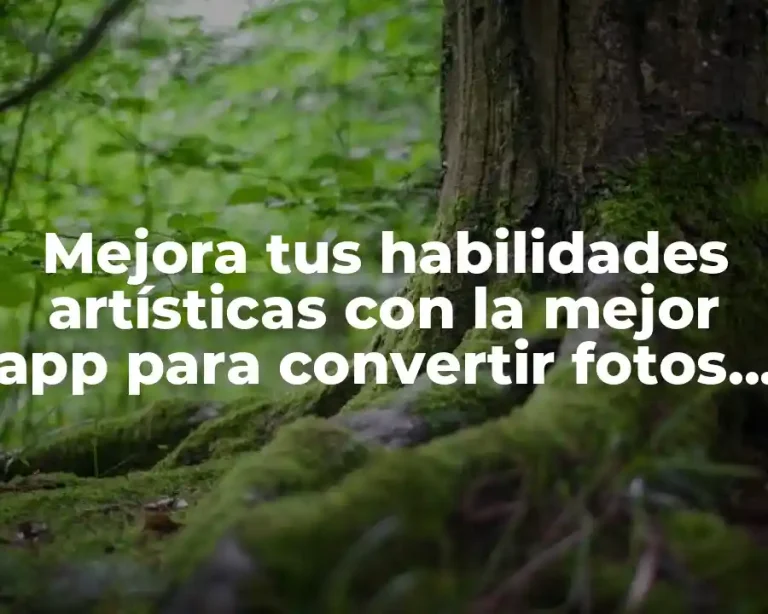 Mejora tus habilidades artísticas con la mejor app para convertir fotos en dibujos gratis