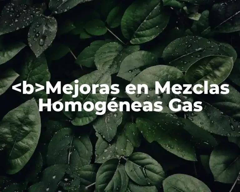 <b>Mejoras en Mezclas Homogéneas Gas