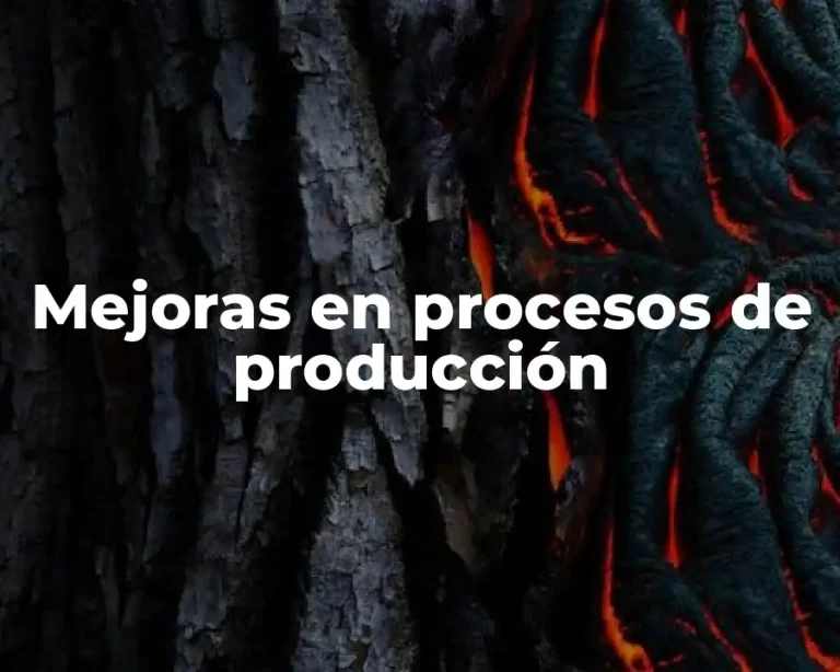 Mejoras en procesos de producción