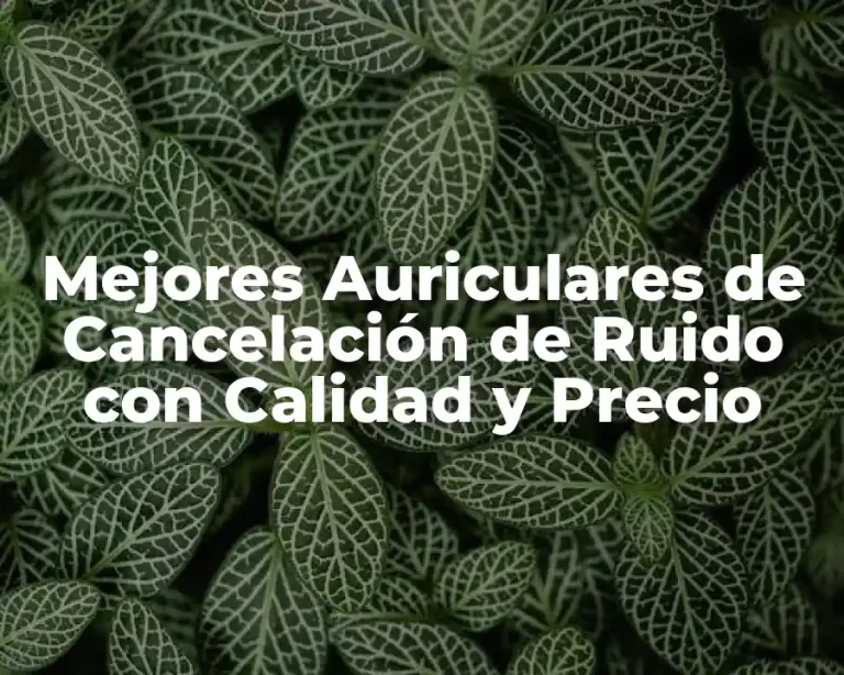 Mejores Auriculares de Cancelación de Ruido con Calidad y Precio