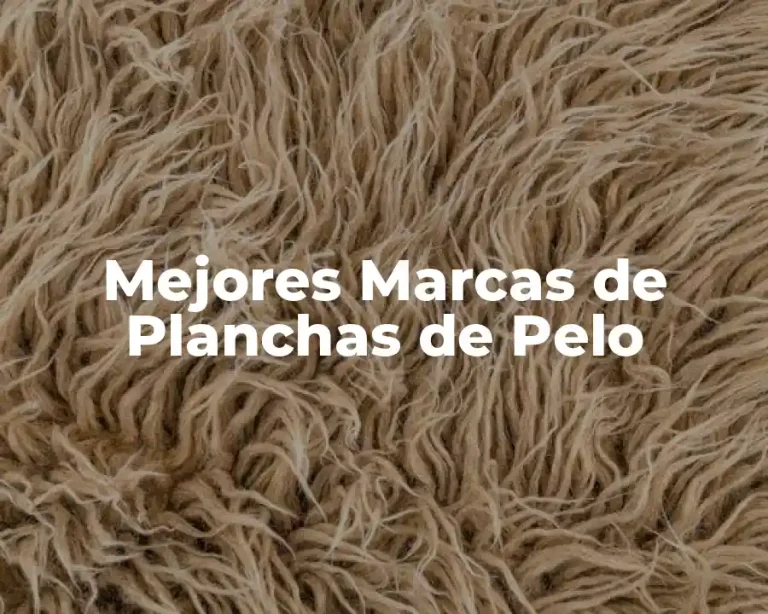Mejores Marcas de Planchas de Pelo